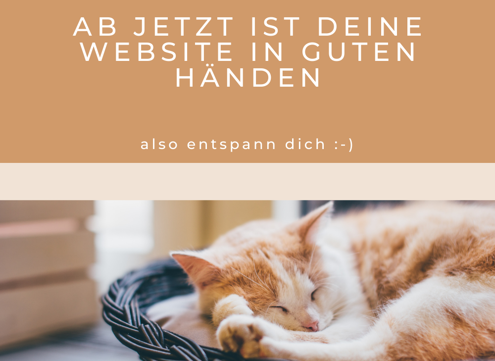 Website Betreuung
